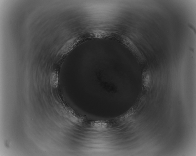 X0000101230471200807111124