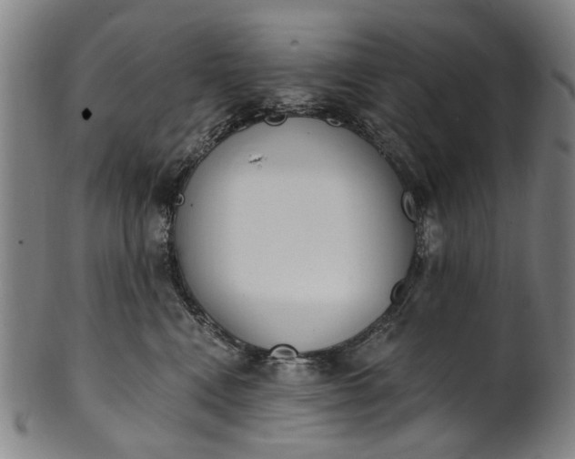 X0000101230472200807111124