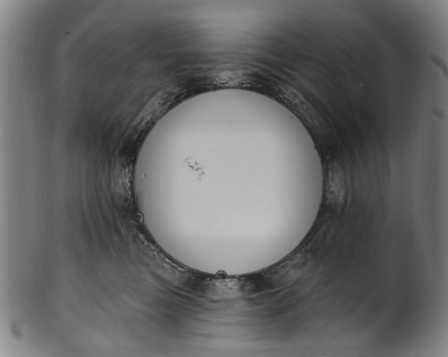 X0000101230473200807111124