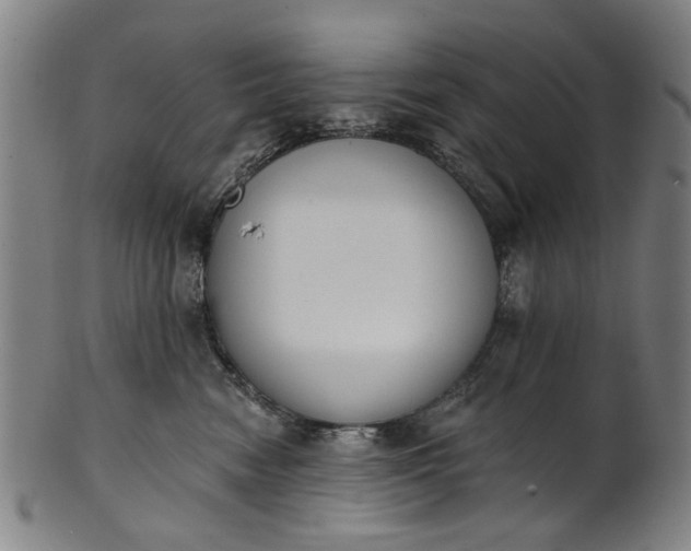 X0000101230474200807111124