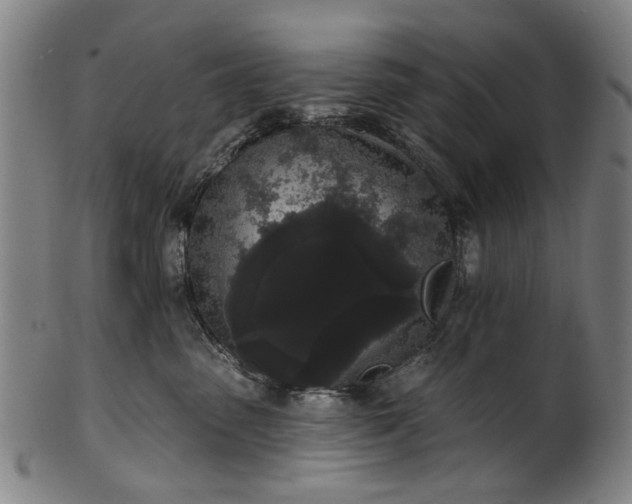 X0000101230475200807111124