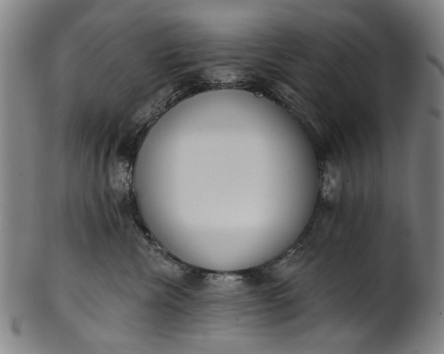 X0000101230476200807111124