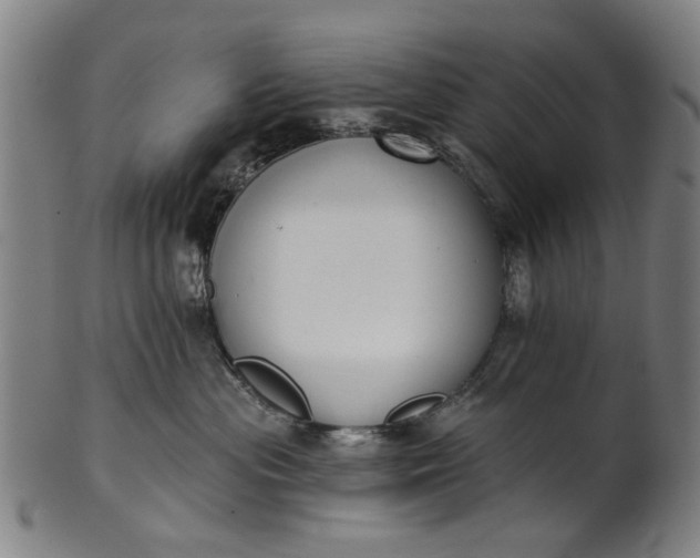 X0000101230477200807111124