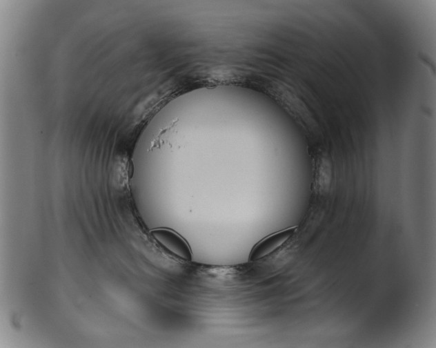 X0000101230478200807111124