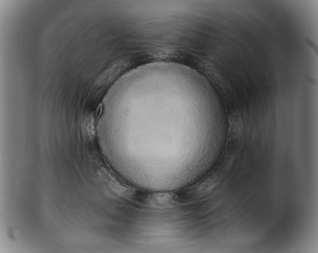 X0000101230479200807111124