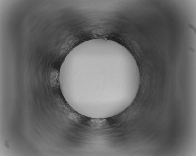 X0000101230480200807111124