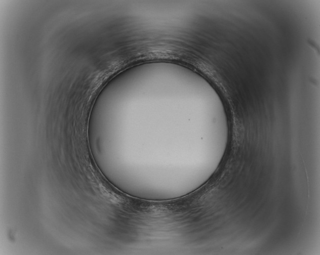 X0000101230481200807111123