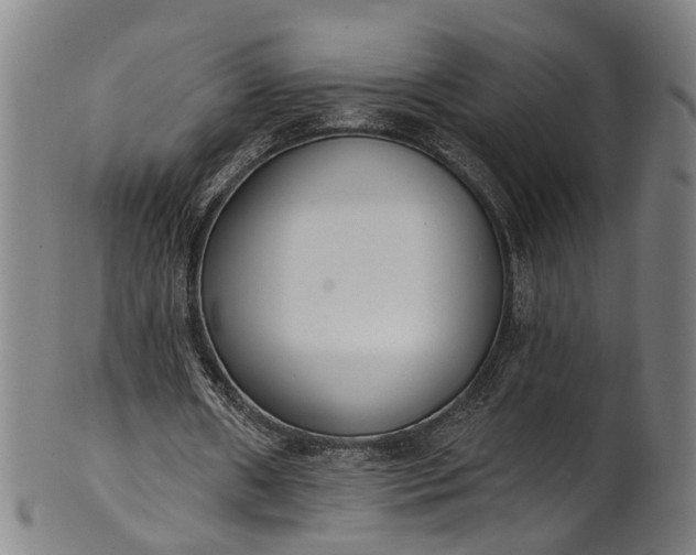 X0000101230482200807111123