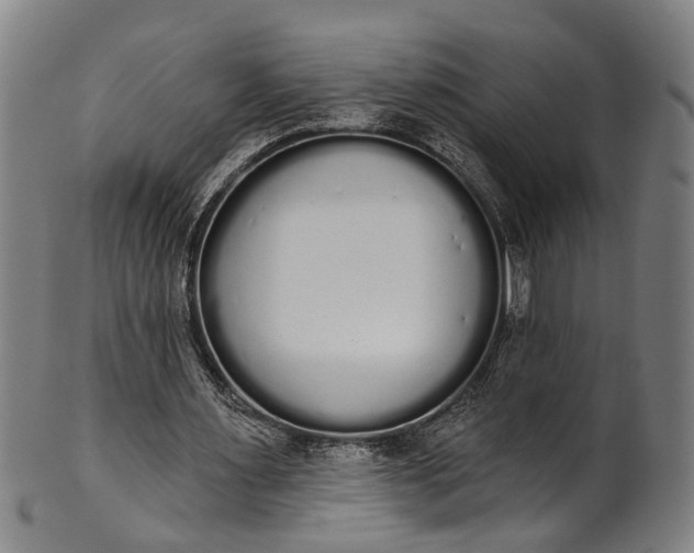 X0000101230483200807111123