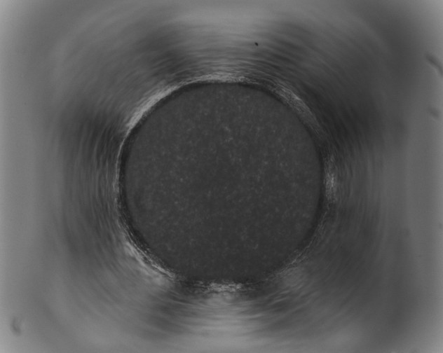 X0000101230484200807111123