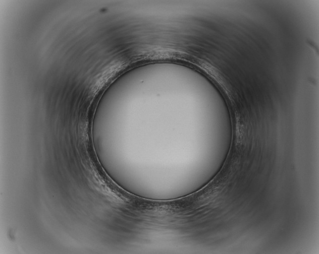 X0000101230485200807111123