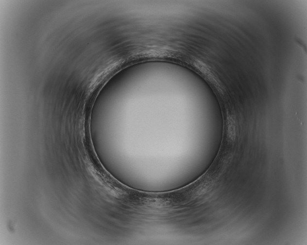 X0000101230486200807111123