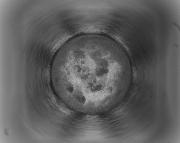 X0000101230487200807111123