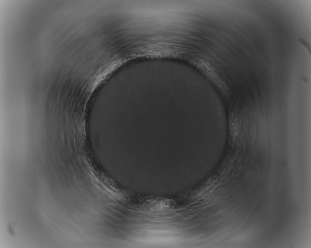 X0000101230488200807111123