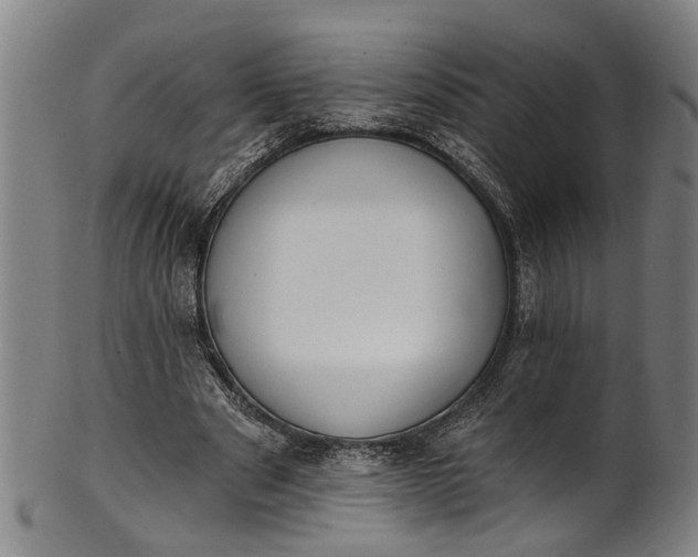 X0000101230489200807111123