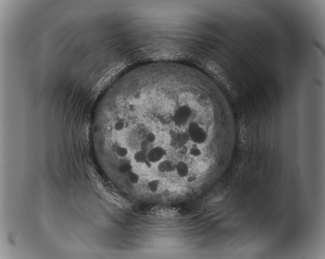 X0000101230491200807111123