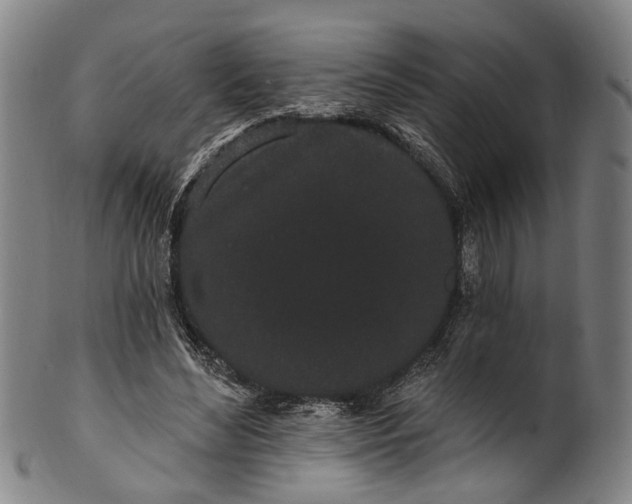 X0000101230492200807111123