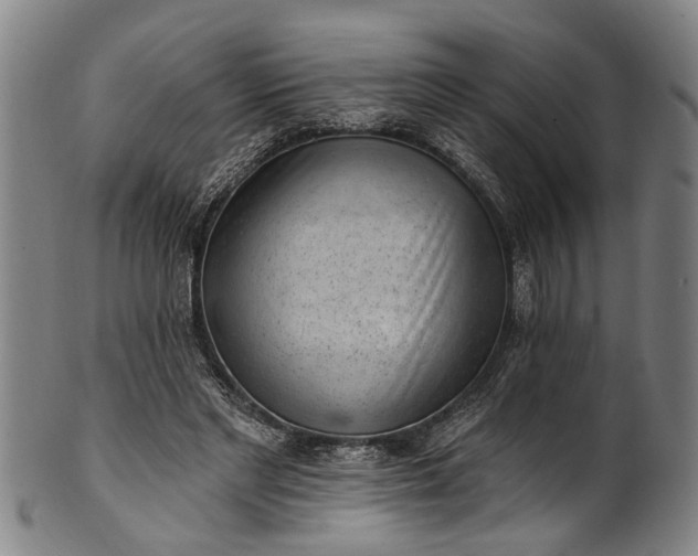 X0000101230493200807111123