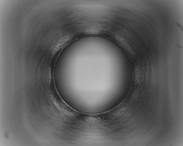 X0000101230494200807111123