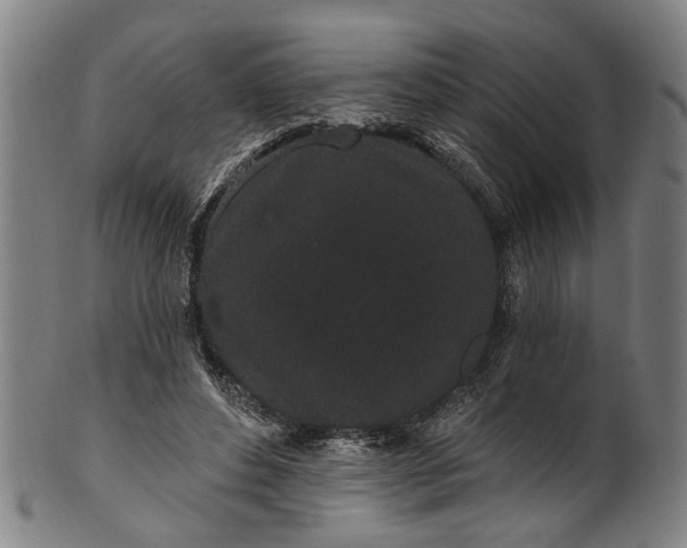 X0000101230496200807111123