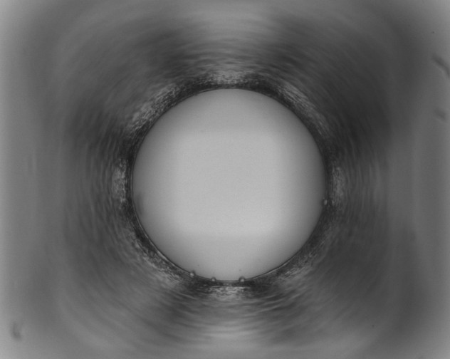 X0000101230497200807111123