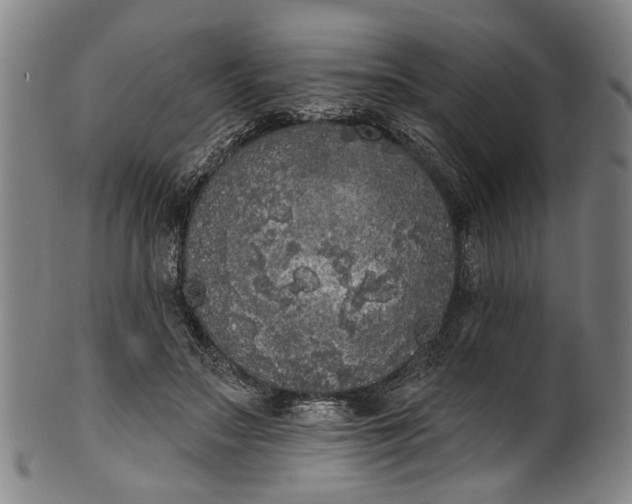 X0000101230499200807111123