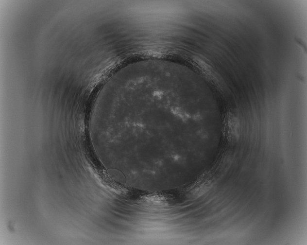 X0000101230500200807111123