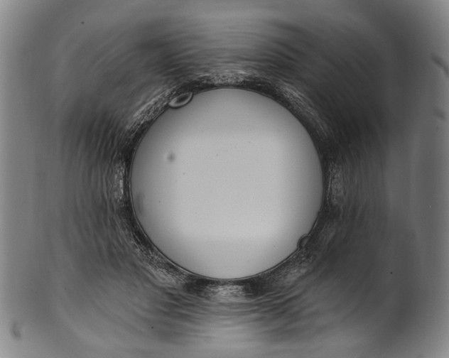 X0000101230501200807111123