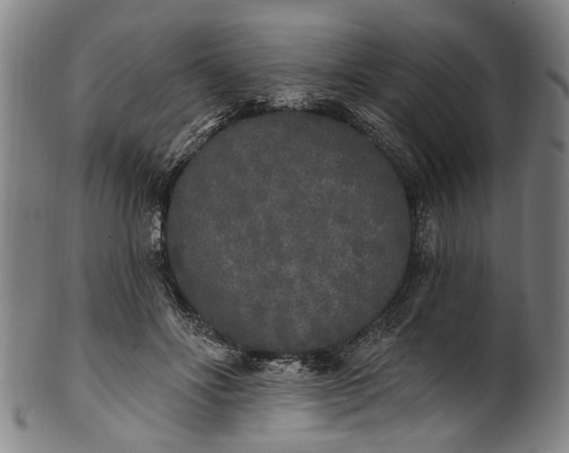 X0000101230502200807111123