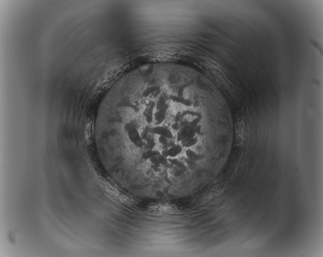 X0000101230503200807111123