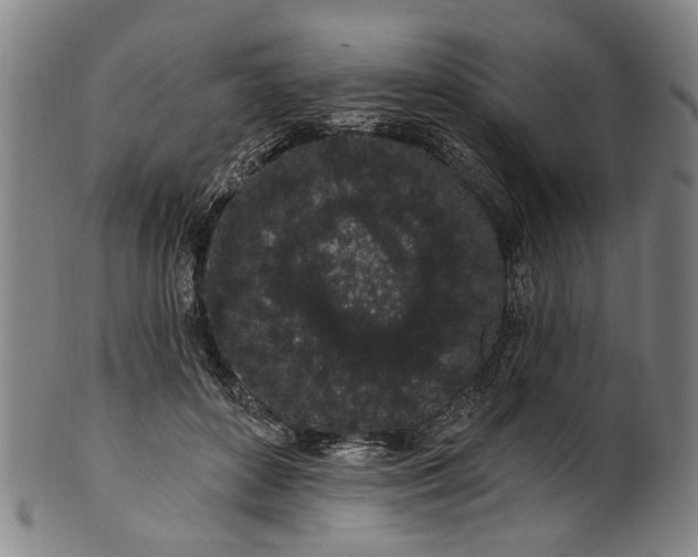 X0000101230504200807111123