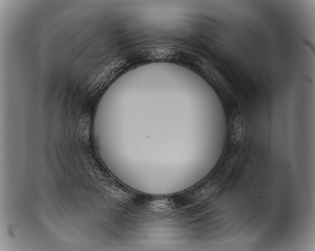 X0000101230505200807111123