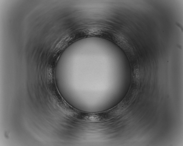 X0000101230506200807111123