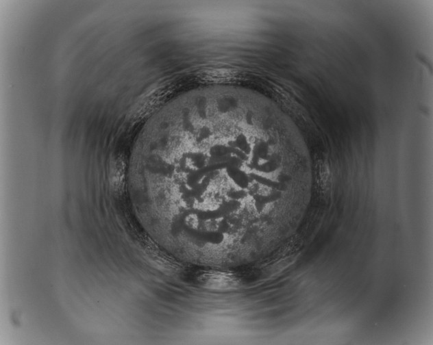 X0000101230507200807111123