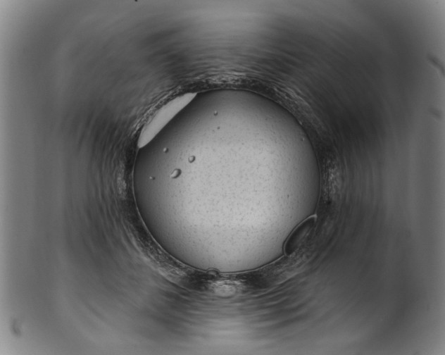 X0000101230508200807111123