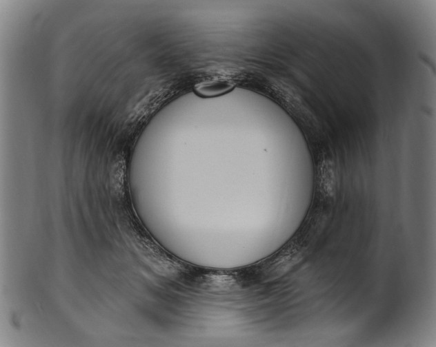 X0000101230509200807111123