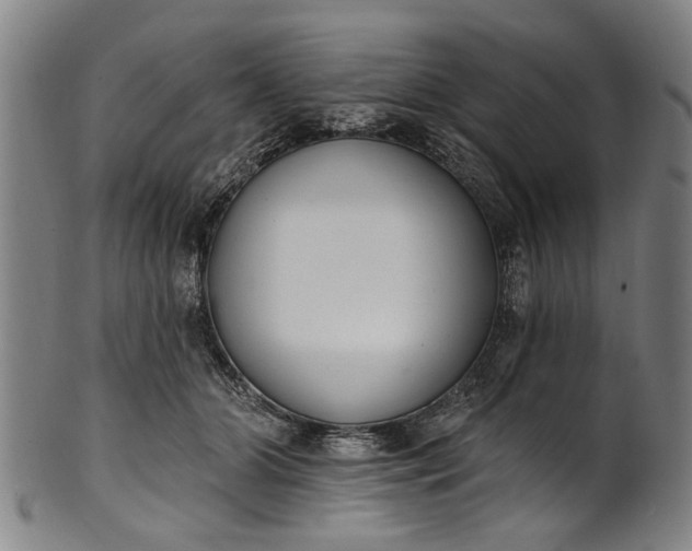 X0000101230510200807111123