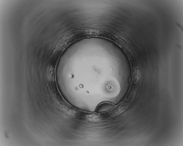 X0000101230511200807111123