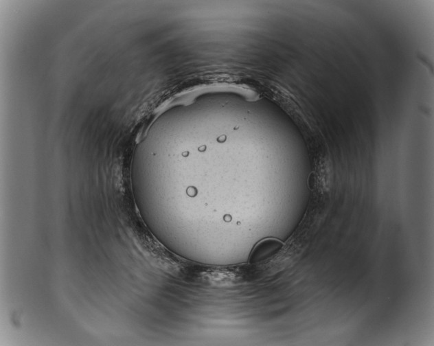 X0000101230512200807111123