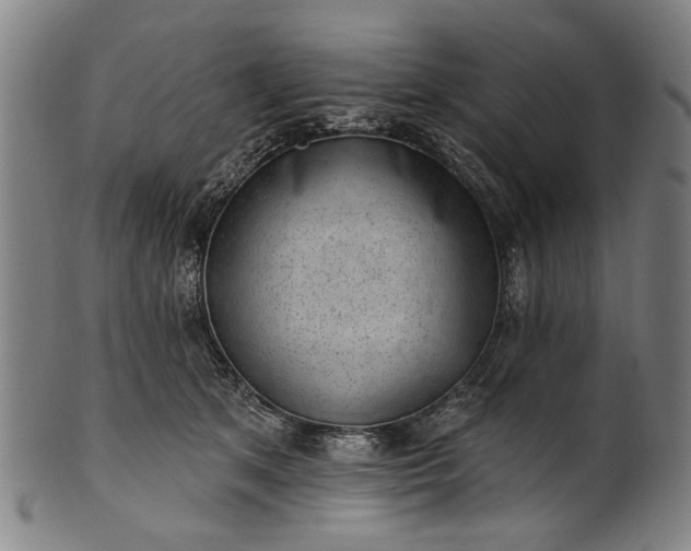 X0000101230513200807111123