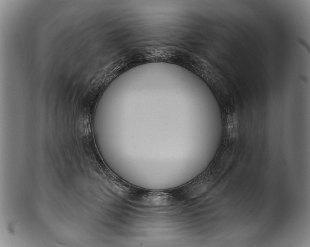 X0000101230514200807111123