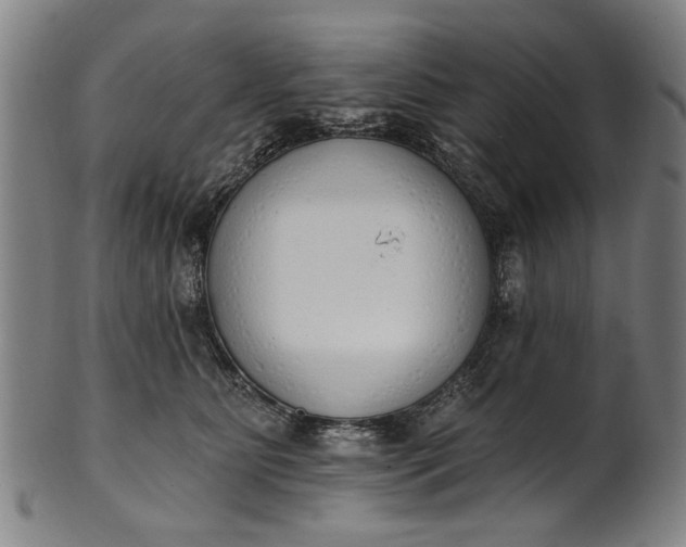 X0000101230515200807111123