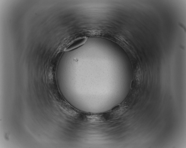 X0000101230516200807111123