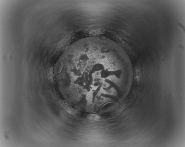 X0000101230519200807111123