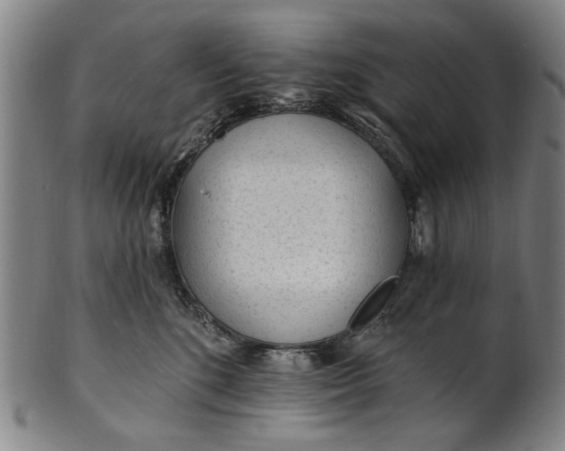 X0000101230520200807111123