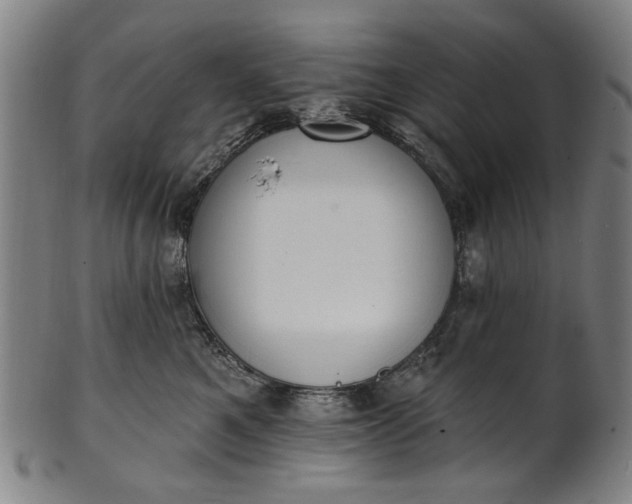 X0000101230521200807111123