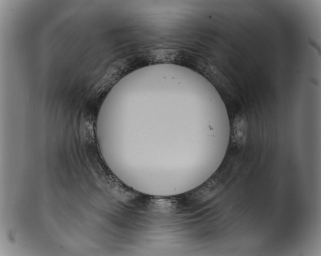 X0000101230522200807111123