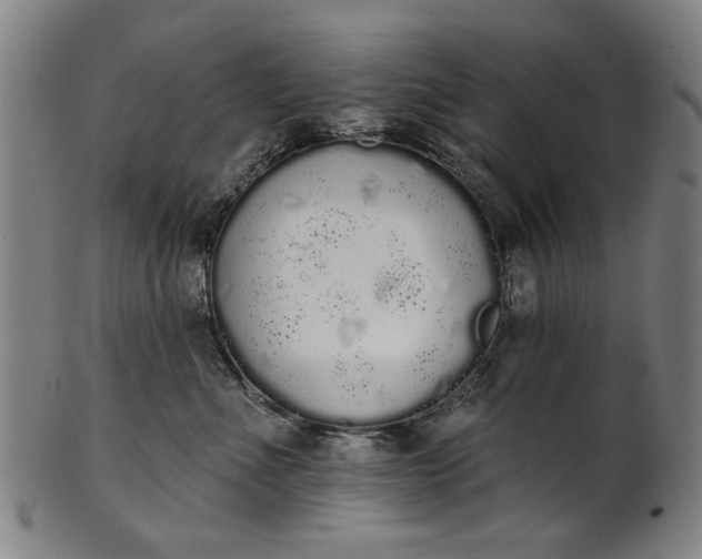 X0000101230523200807111123