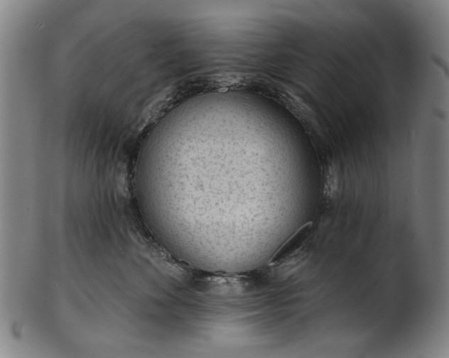 X0000101230524200807111123