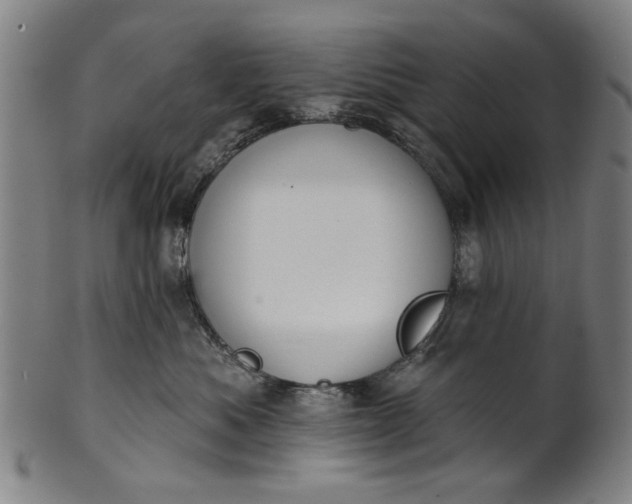 X0000101230525200807111123